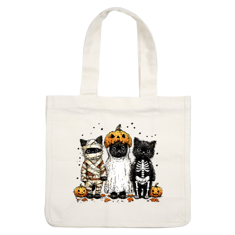Three adorable black cats dressed in Halloween costumes, featuring a mummy, ghost, and skeleton.DTF Transfers