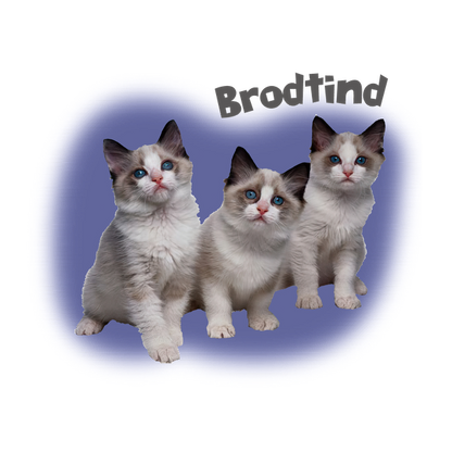 Tres adorables gatitos con llamativos ojos azules y marcas distintivas se sientan juntos sobre un fondo violeta suave.