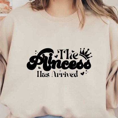 A stylish black silhouette of a cat with a sleek design, perfect for cat lovers and decorative arts.DTF Transfers