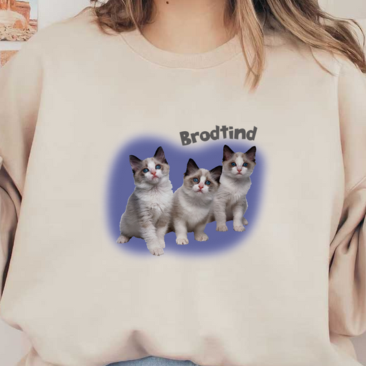 Tres adorables gatitos con llamativos ojos azules y marcas distintivas se sientan juntos sobre un fondo violeta suave.