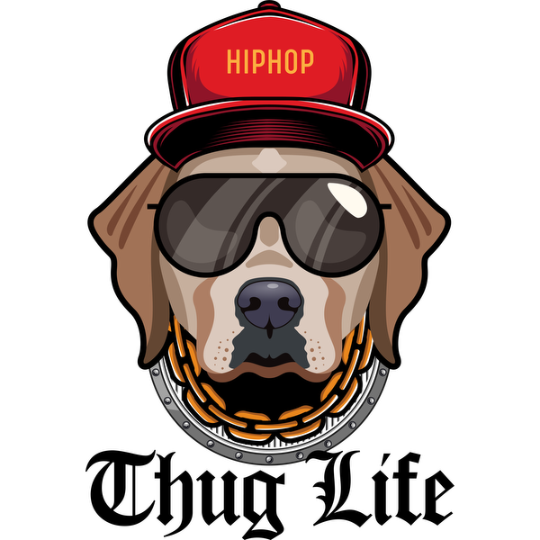 Un perro genial que luce una gorra roja "HIPHOP", gafas de sol y una cadena dorada, y que irradia una onda urbana y elegante.