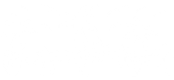 A scenic silhouette of palm trees and flying birds, evoking a tranquil beach vibe.UV Transfers dtf transfers