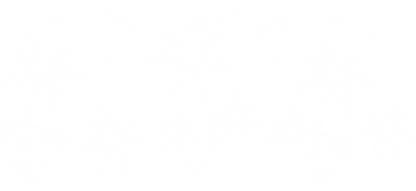 A scenic silhouette of palm trees and flying birds, evoking a tranquil beach vibe.UV Transfers dtf transfers