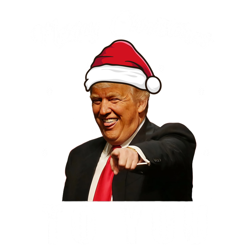 A festive design featuring Trump wearing a Santa hat with the message "Merry Christmas TO YOU" surrounded by snowflakes.DTF Transfers heat press transfers dtf prints