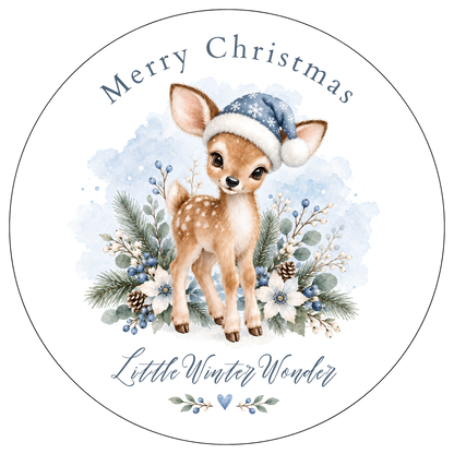 XMAS1463-17 — Baby's First Christmas DTF transfer design; names and year where shown are fixed artwork; garment not included