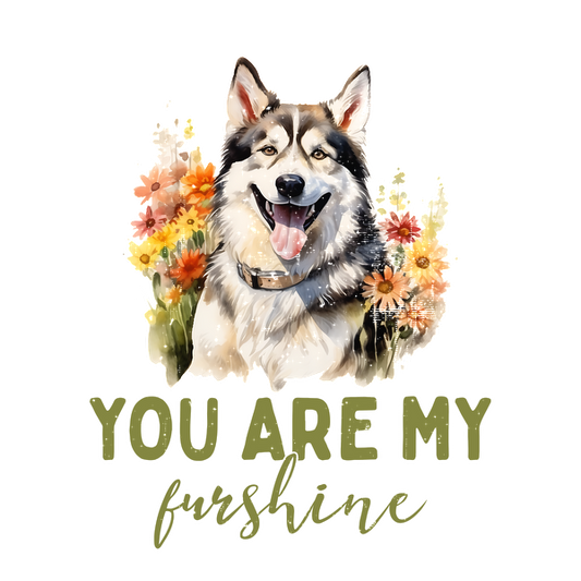 Un alegre retrato de husky rodeado de flores de colores, acompañado de la divertida frase "Eres mi Furshine".