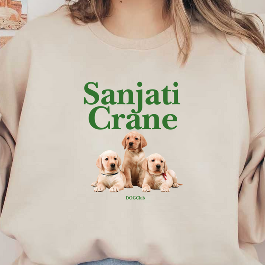 Tres adorables cachorros de labrador, con collares de distintos colores, posan juntos sobre un fondo sencillo. ¡Perfecto para los amantes de los perros!