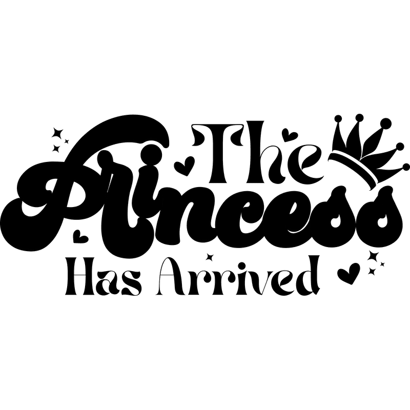 A stylish black silhouette of a cat with a sleek design, perfect for cat lovers and decorative arts.DTF Transfers