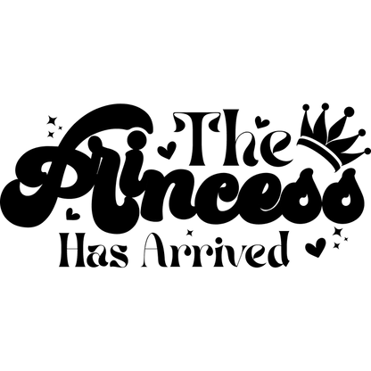 A stylish black silhouette of a cat with a sleek design, perfect for cat lovers and decorative arts.DTF Transfers