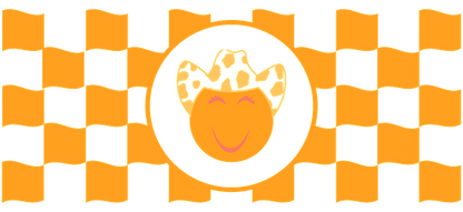 T-shirt with a cute flamingo with an orange and green background.UV Transfers